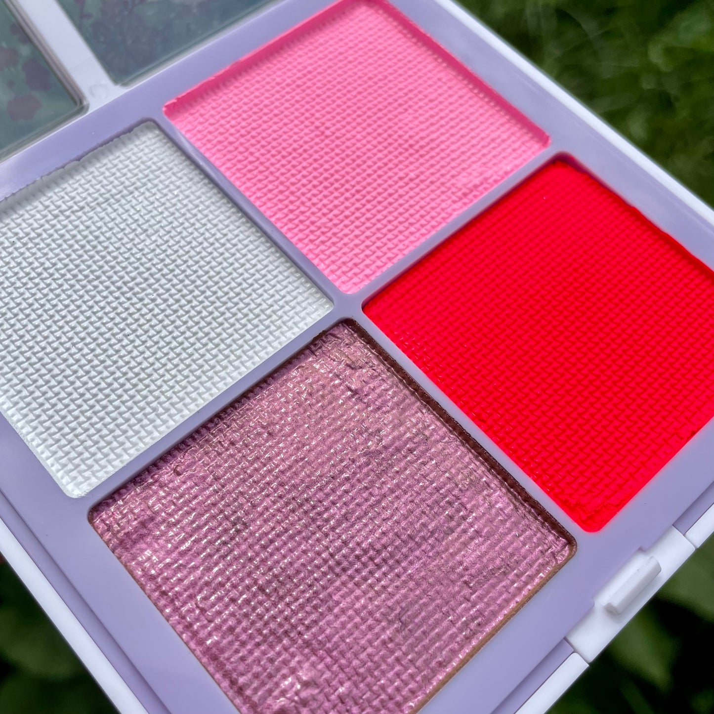 Paleta Florence Rosada